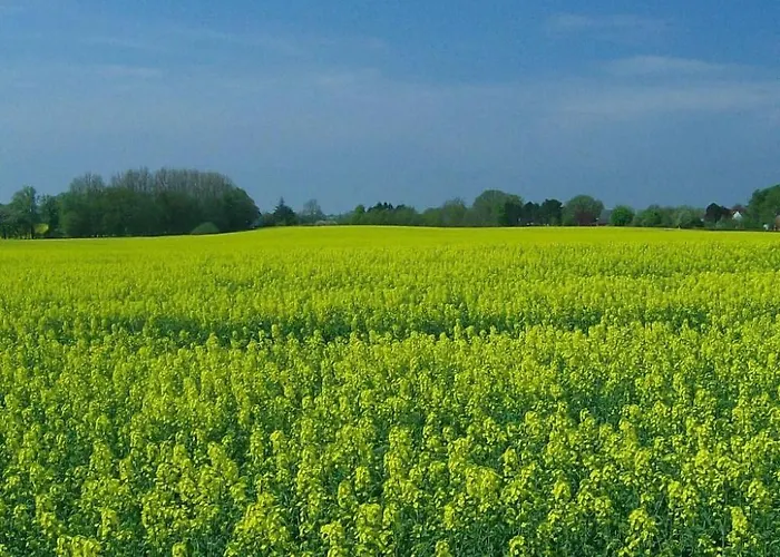 Schule 5 By Interhome * Windeby